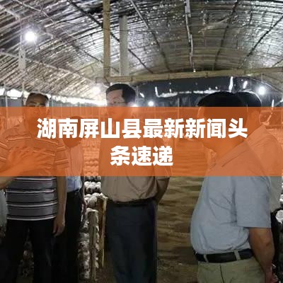 湖南屏山縣最新新聞?lì)^條速遞