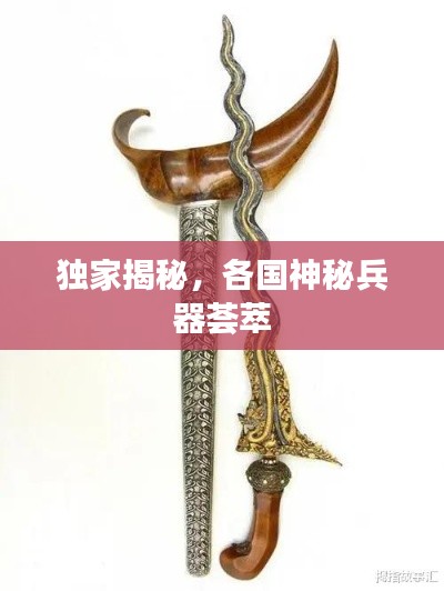 獨家揭秘，各國神秘兵器薈萃