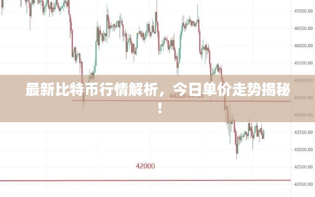 最新比特幣行情解析，今日單價(jià)走勢(shì)揭秘！