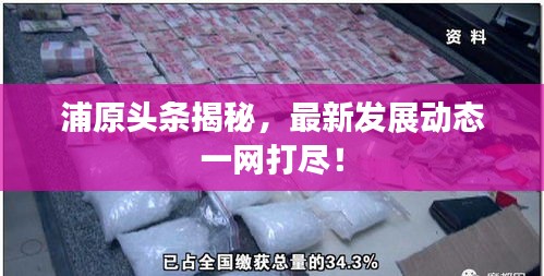 浦原頭條揭秘，最新發(fā)展動(dòng)態(tài)一網(wǎng)打盡！
