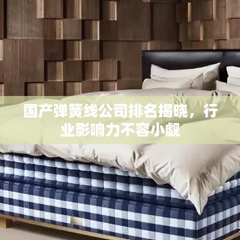 國產(chǎn)彈簧線公司排名揭曉，行業(yè)影響力不容小覷