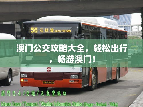 澳門公交攻略大全，輕松出行，暢游澳門！