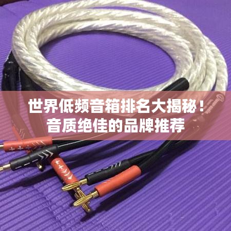 世界低頻音箱排名大揭秘！音質(zhì)絕佳的品牌推薦