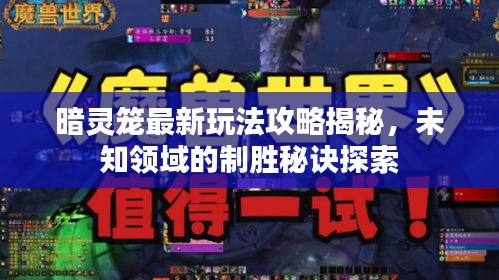 暗靈籠最新玩法攻略揭秘，未知領域的制勝秘訣探索
