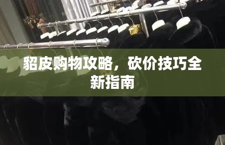 貂皮購物攻略，砍價技巧全新指南