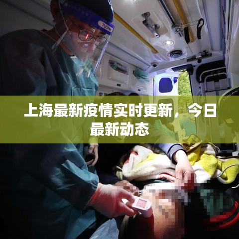 上海最新疫情實時更新，今日最新動態(tài)