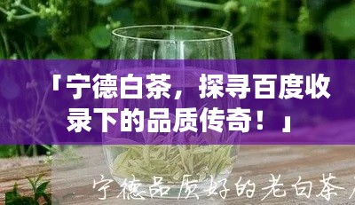 「寧德白茶，探尋百度收錄下的品質(zhì)傳奇！」
