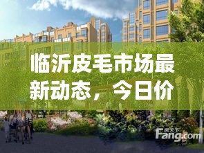 臨沂皮毛市場(chǎng)最新動(dòng)態(tài)，今日價(jià)格走勢(shì)、影響因素一網(wǎng)打盡！