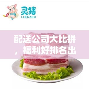 配送公司大比拼，福利好排名出爐！