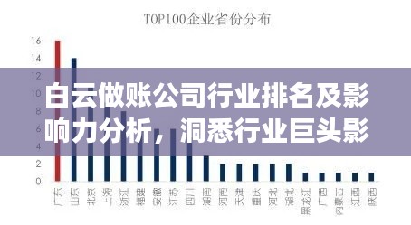 白云做賬公司行業(yè)排名及影響力分析，洞悉行業(yè)巨頭影響力
