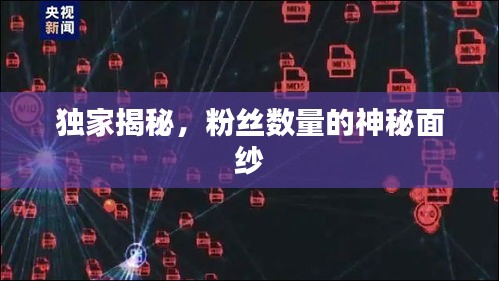 獨家揭秘，粉絲數(shù)量的神秘面紗