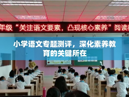 小學(xué)語文專題測(cè)評(píng)，深化素養(yǎng)教育的關(guān)鍵所在
