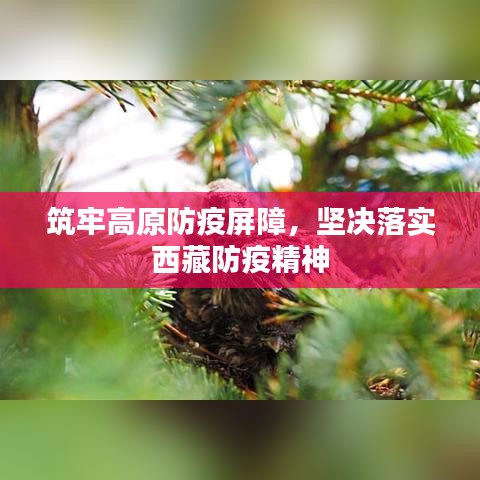 筑牢高原防疫屏障，堅決落實西藏防疫精神