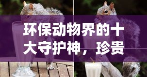 環(huán)保動(dòng)物界的十大守護(hù)神，珍貴生態(tài)守護(hù)者的榮耀排名