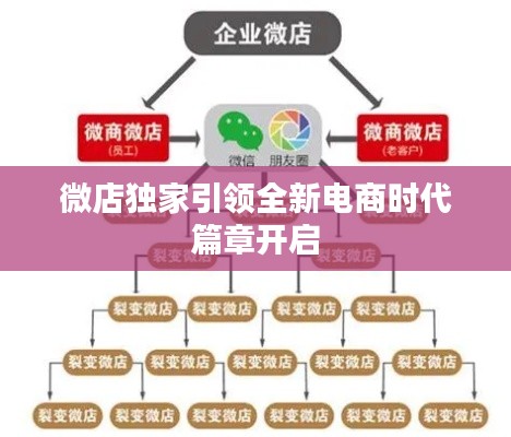 微店獨(dú)家引領(lǐng)全新電商時(shí)代篇章開啟