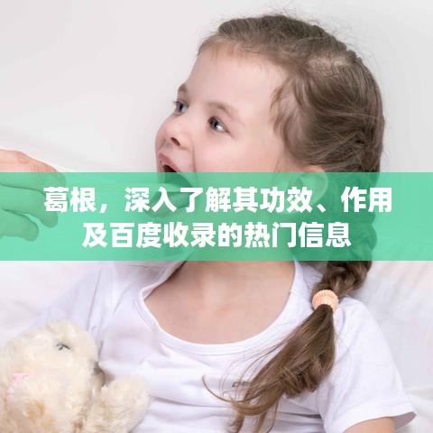 葛根，深入了解其功效、作用及百度收錄的熱門信息