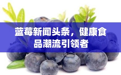 藍(lán)莓新聞頭條，健康食品潮流引領(lǐng)者