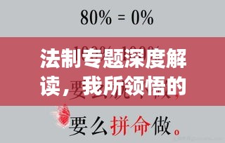 法制專題深度解讀，我所領(lǐng)悟的心得體會(huì)