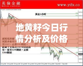 地黃籽今日行情分析及價(jià)格走勢(shì)解讀