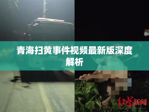 青海掃黃事件視頻最新版深度解析