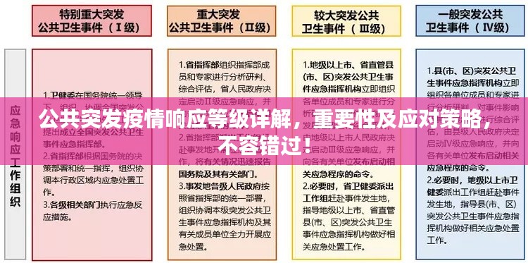 公共突發(fā)疫情響應(yīng)等級(jí)詳解，重要性及應(yīng)對(duì)策略，不容錯(cuò)過！