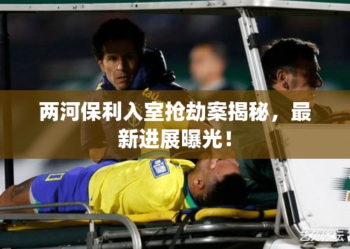 兩河保利入室搶劫案揭秘，最新進(jìn)展曝光！