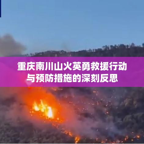 重慶南川山火英勇救援行動與預防措施的深刻反思