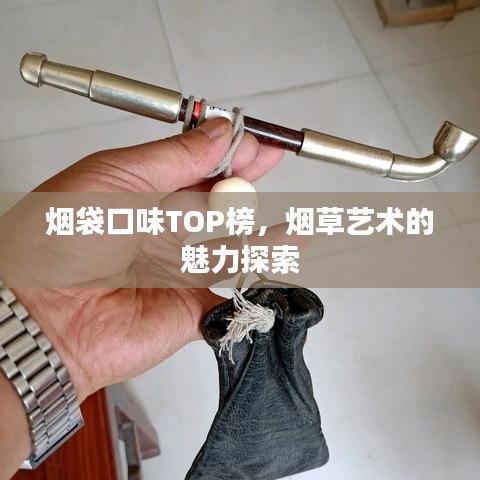 煙袋口味TOP榜，煙草藝術的魅力探索