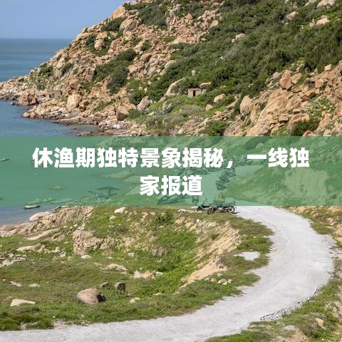 休漁期獨特景象揭秘，一線獨家報道