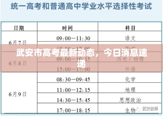 武安市高考最新動(dòng)態(tài)，今日消息速遞