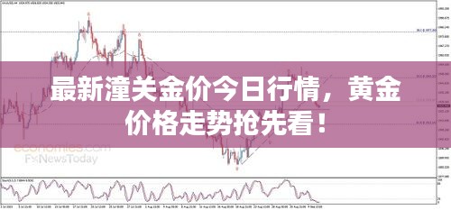 最新潼關(guān)金價(jià)今日行情，黃金價(jià)格走勢(shì)搶先看！