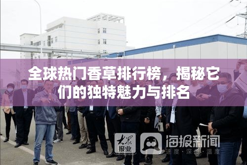 全球熱門香草排行榜，揭秘它們的獨(dú)特魅力與排名