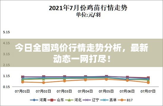 今日全國雞價行情走勢分析，最新動態(tài)一網(wǎng)打盡！