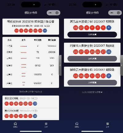 麻友圈新版本,深入解析數據策略_2D_v3.721