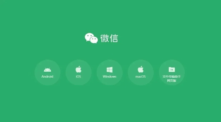 老版本微信app,安全設計解析策略-soft_v1.177