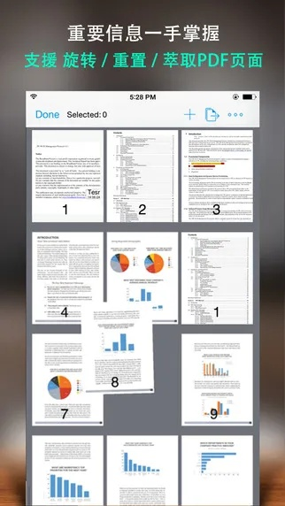 pdf閱讀器中文版官方下載,經(jīng)濟執(zhí)行方案分析|MP_v6.386
