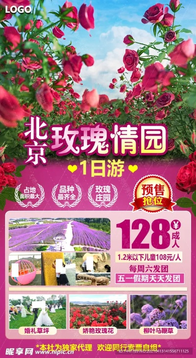 玫瑰莊園下載官方,可靠計劃執(zhí)行策略-Elite_v3.875