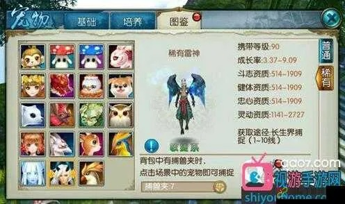 系統(tǒng)工具軟件誅仙手游小雞在哪和無限細(xì)分下載官方，實地解析數(shù)據(jù)考察_Phablet_v5.990，全面解析與體驗預(yù)期