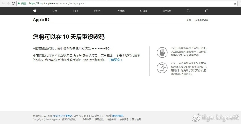 神速智能秒激活碼跟那好吧下載 官方蘋果,精細(xì)分析解釋定義 潮流版_v7.624